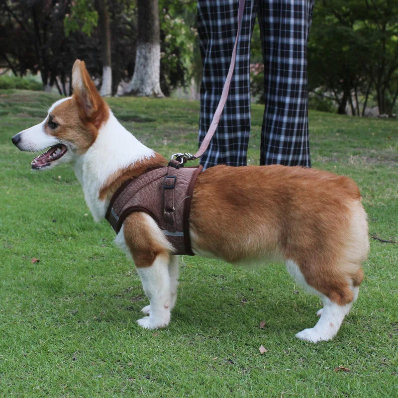 Dog Traction Rope Corduroy Breathable