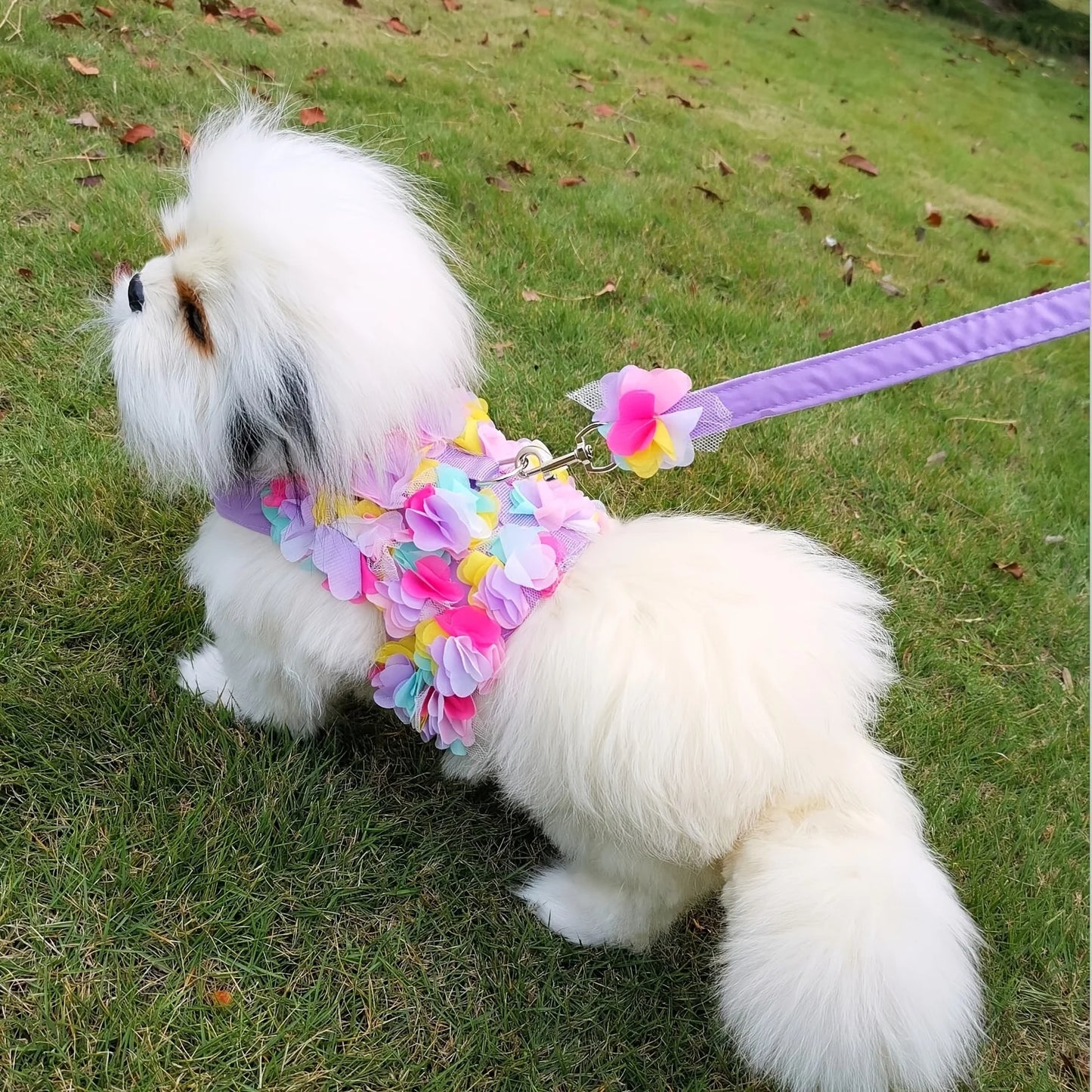 Pets Harness Leash Flower Decoration