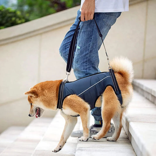 Dog Lift Harness Pet Support Rehabilitation