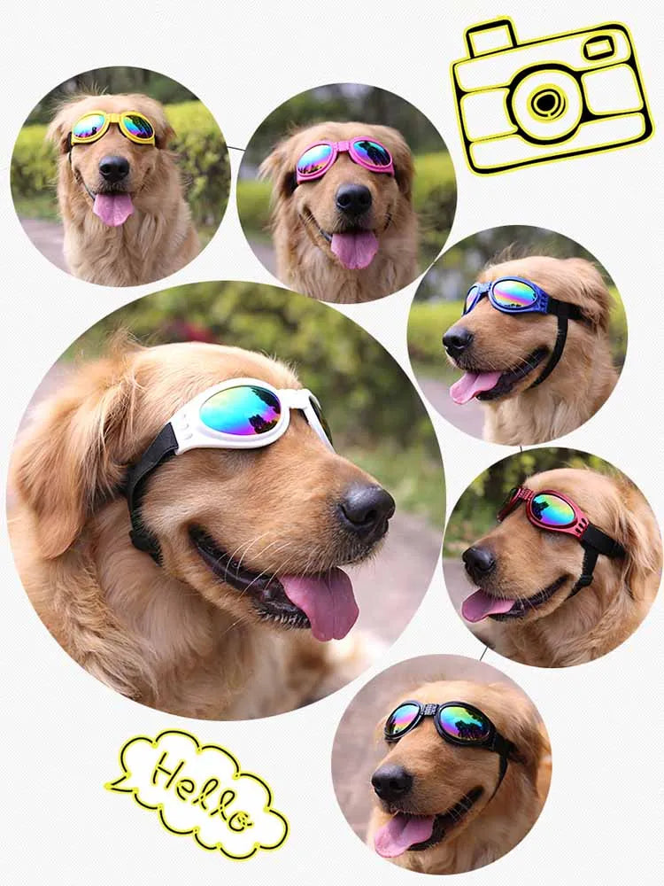 6 Colors Fold Pet Dogs Glasses Prevent UV