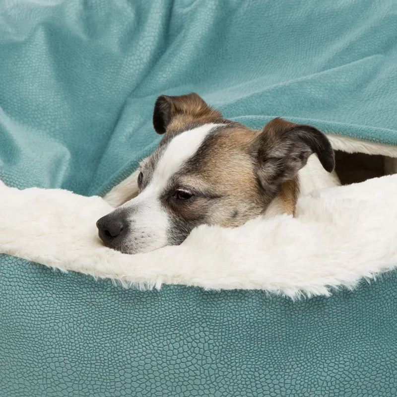 Orthopedic Bed For Dogs Puppy Cat