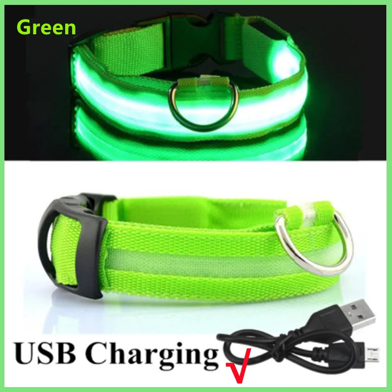 3 Modes Dog Luminous Charge Collar