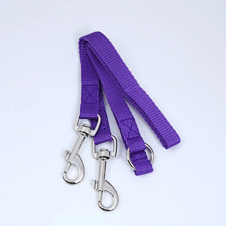 Outdoor Walking Two Dogs Leash