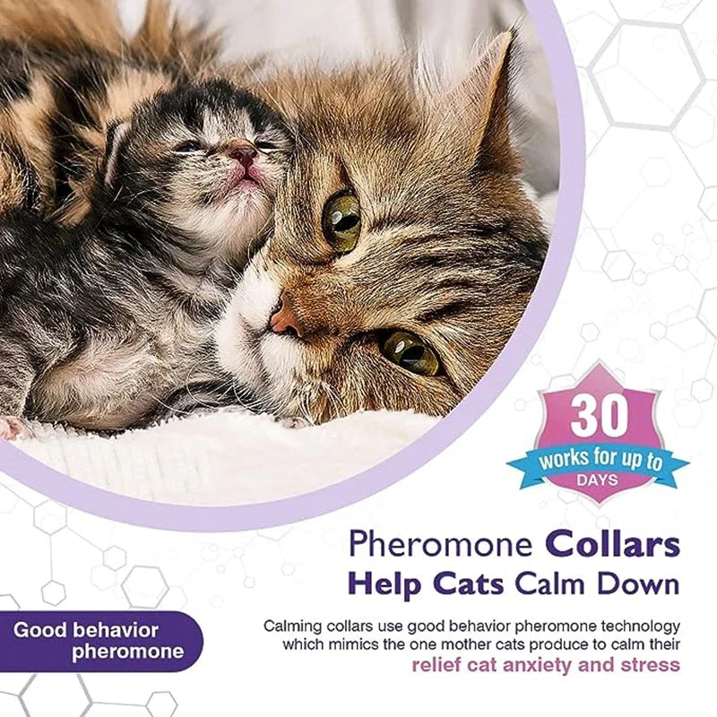 Dog Calming Pheromone Collar cat Relieve Anxiety