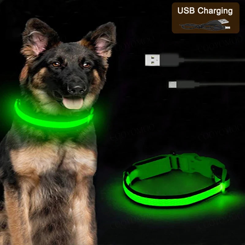 3 Modes Dog Luminous Charge Collar Led Usb