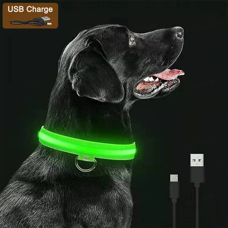 3 Modes Dog Luminous Charge Collar Led Usb