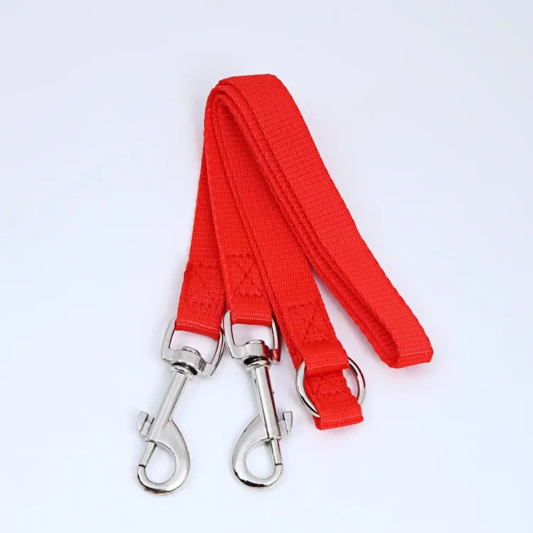 Outdoor Walking Two Dogs Leash