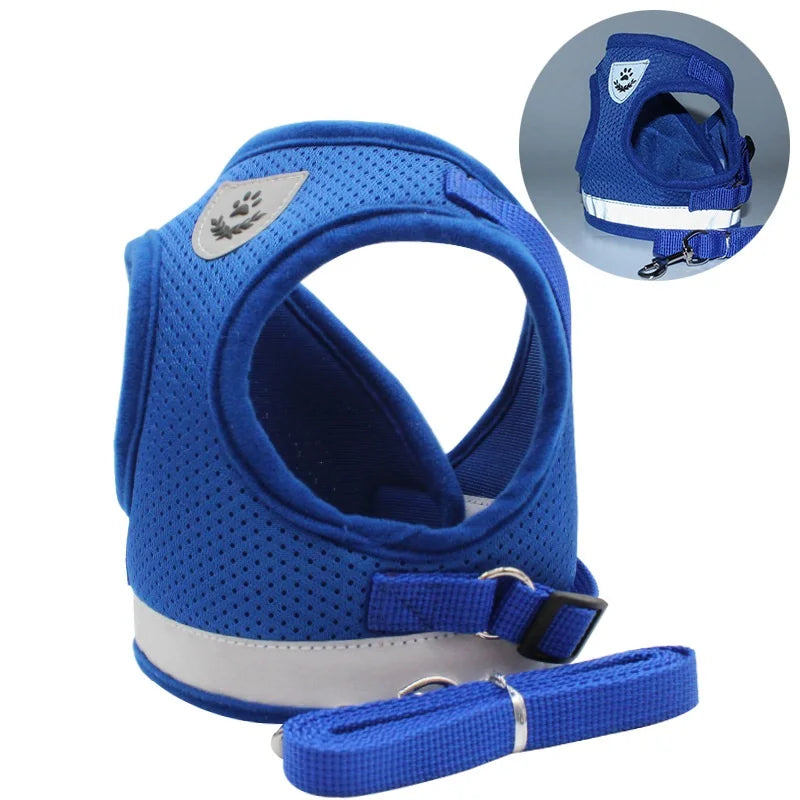 Quality Dog Harness And Leash