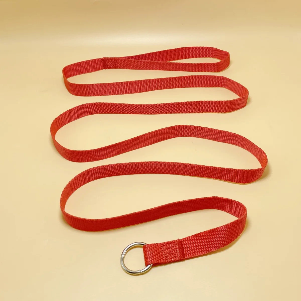 Durable Dog Nylon Slip Rope Leash,