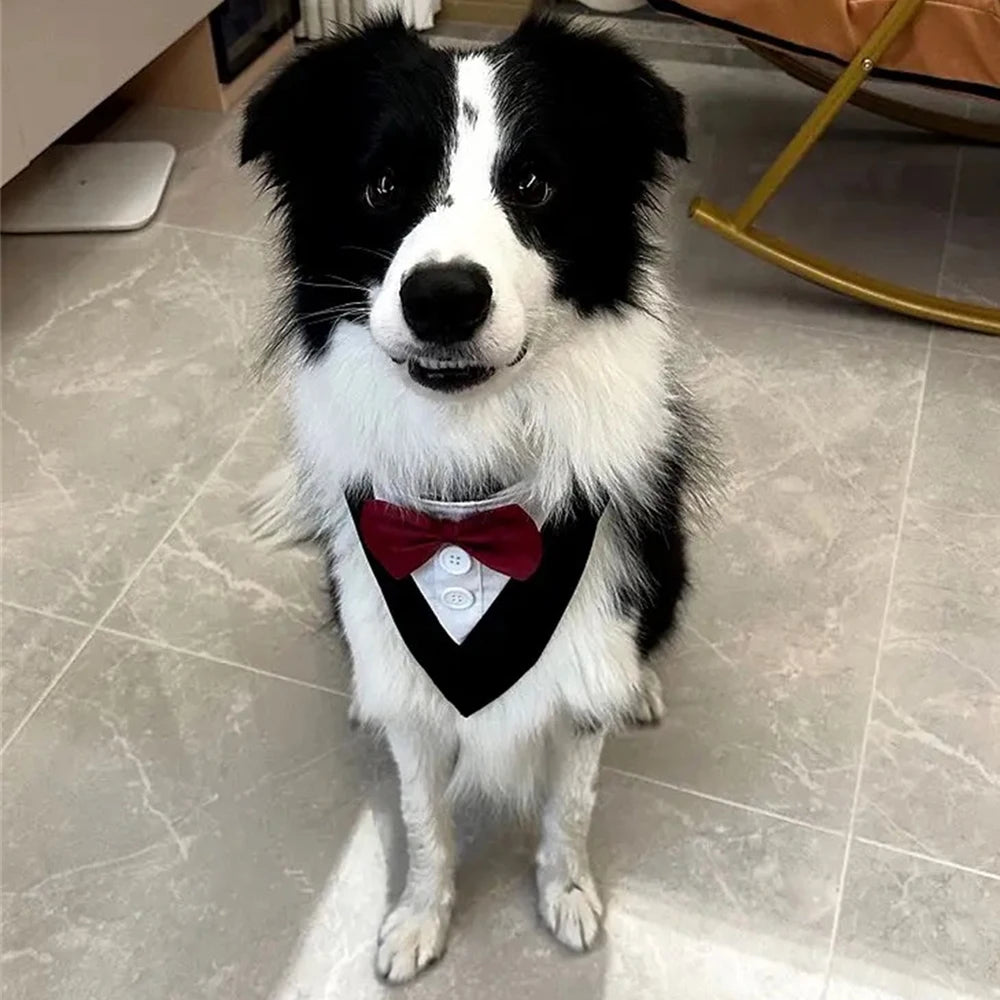 Handsome Dog Bow Tie Wedding Party