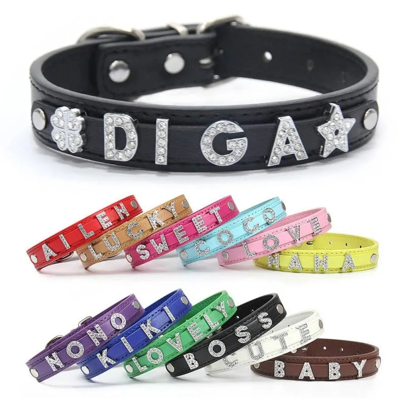 Custom Cat Dog Collar Personalized