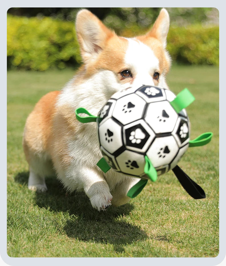 Kimpets Dog Interactive Football Toys