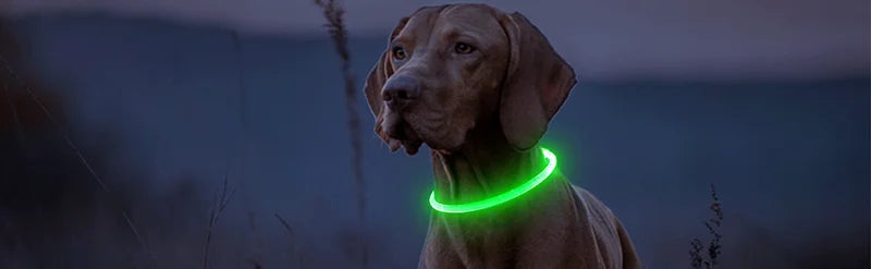 3 Modes Dog Luminous Charge Collar Led Usb