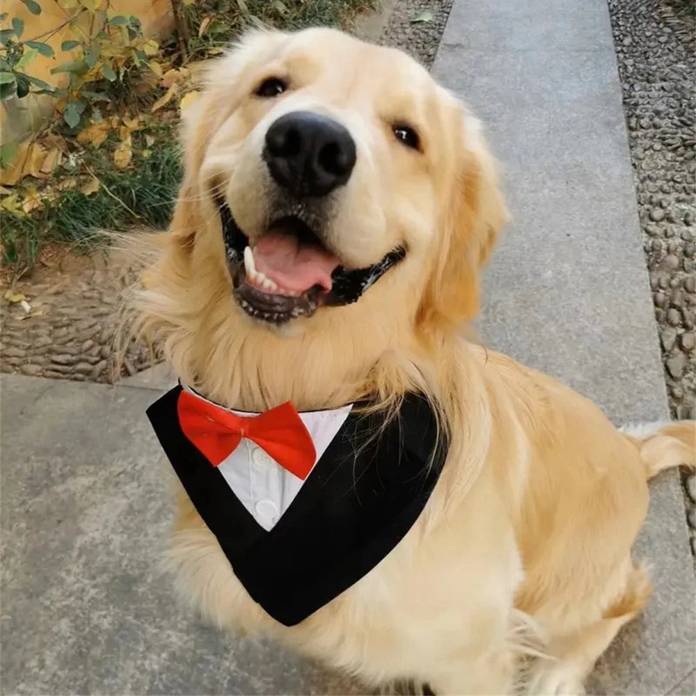 Handsome Dog Bow Tie Wedding Party