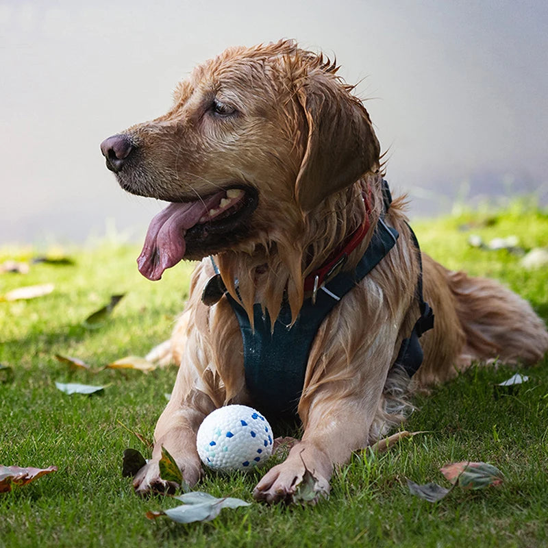 Bite Resistant Solid Dog Ball