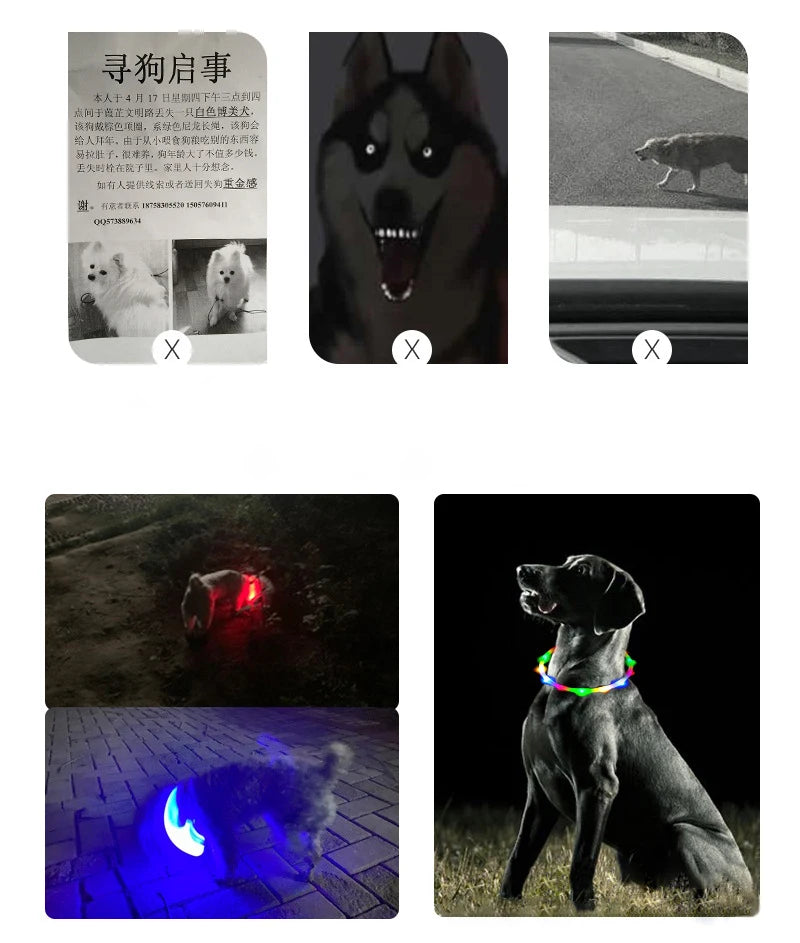 4 Modes Dog Luminou Charge Collar Led Usb