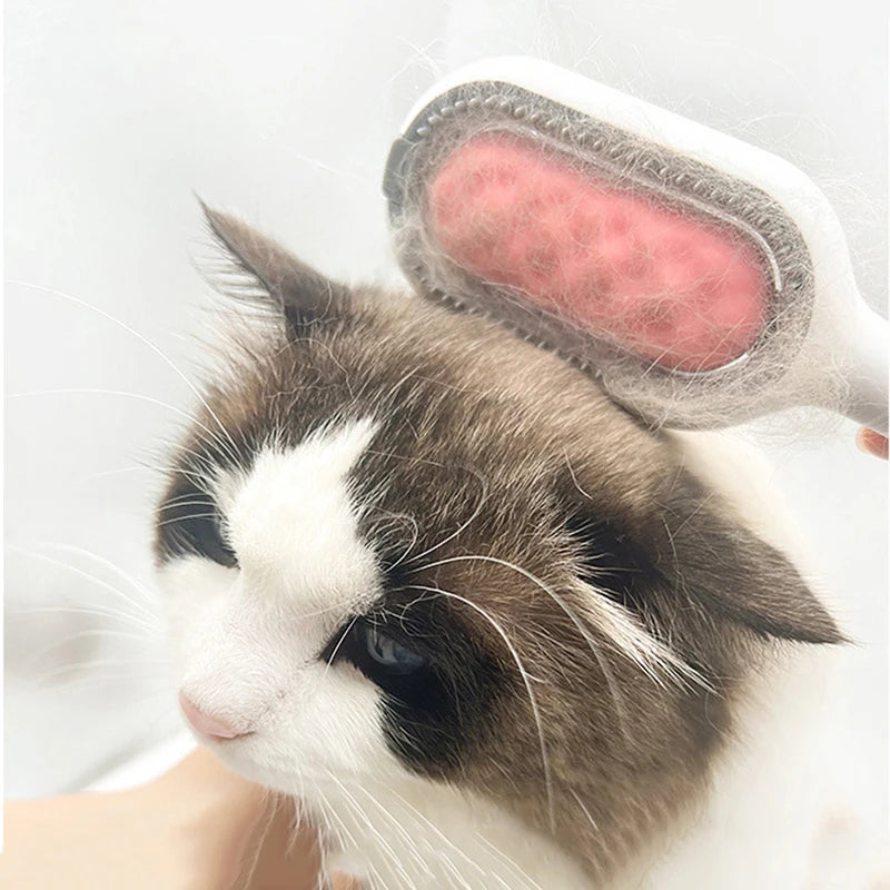 Double Sided Hair Removal Brushes for Cat Dog