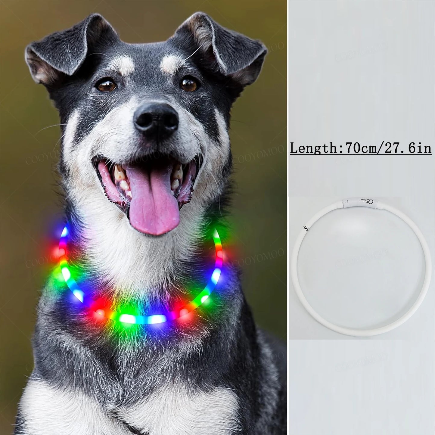 4 Modes Dog Luminou Charge Collar Led Usb