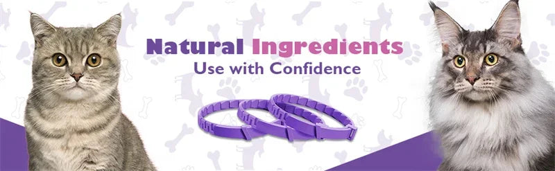 Dog Calming Pheromone Collar cat Relieve Anxiety