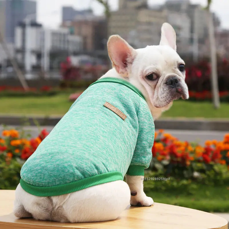 Dog Warm Sweatshirt Spring Autumn Winter