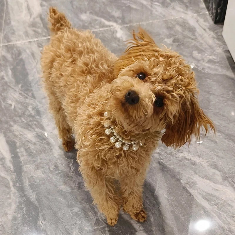 Luxury Pearl Pendant Puppy Dog Necklace