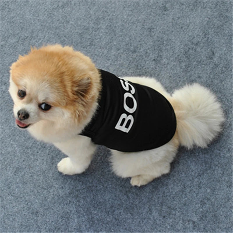 Security Clothing for Dogs Summer