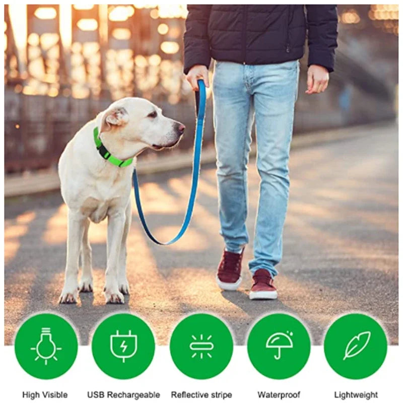 3 Modes Dog Luminous Charge Collar Led Usb