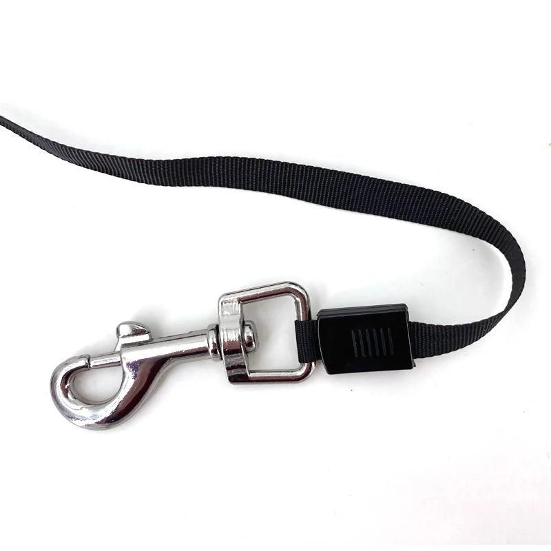 3M/5M Retractable Dog Leash Automatic Flexible