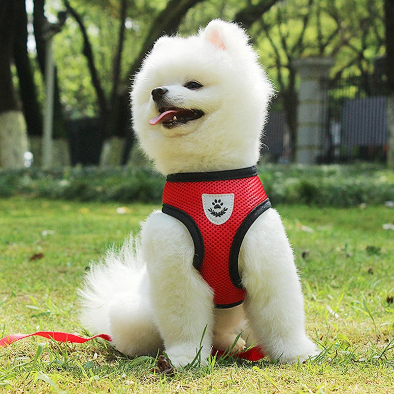 Reflective Breathable Mesh Dog Harness