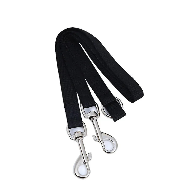 Outdoor Walking Two Dogs Leash