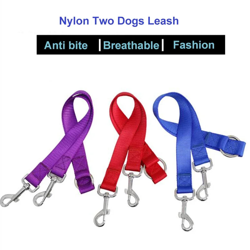 Outdoor Walking Two Dogs Leash