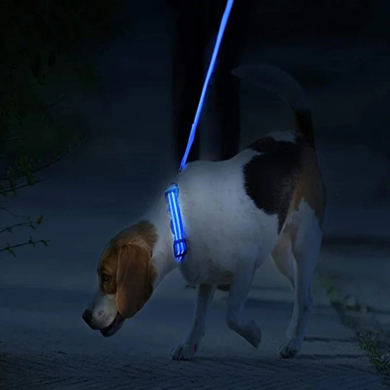 3 Modes Dog Luminous Charge Collar Led Usb