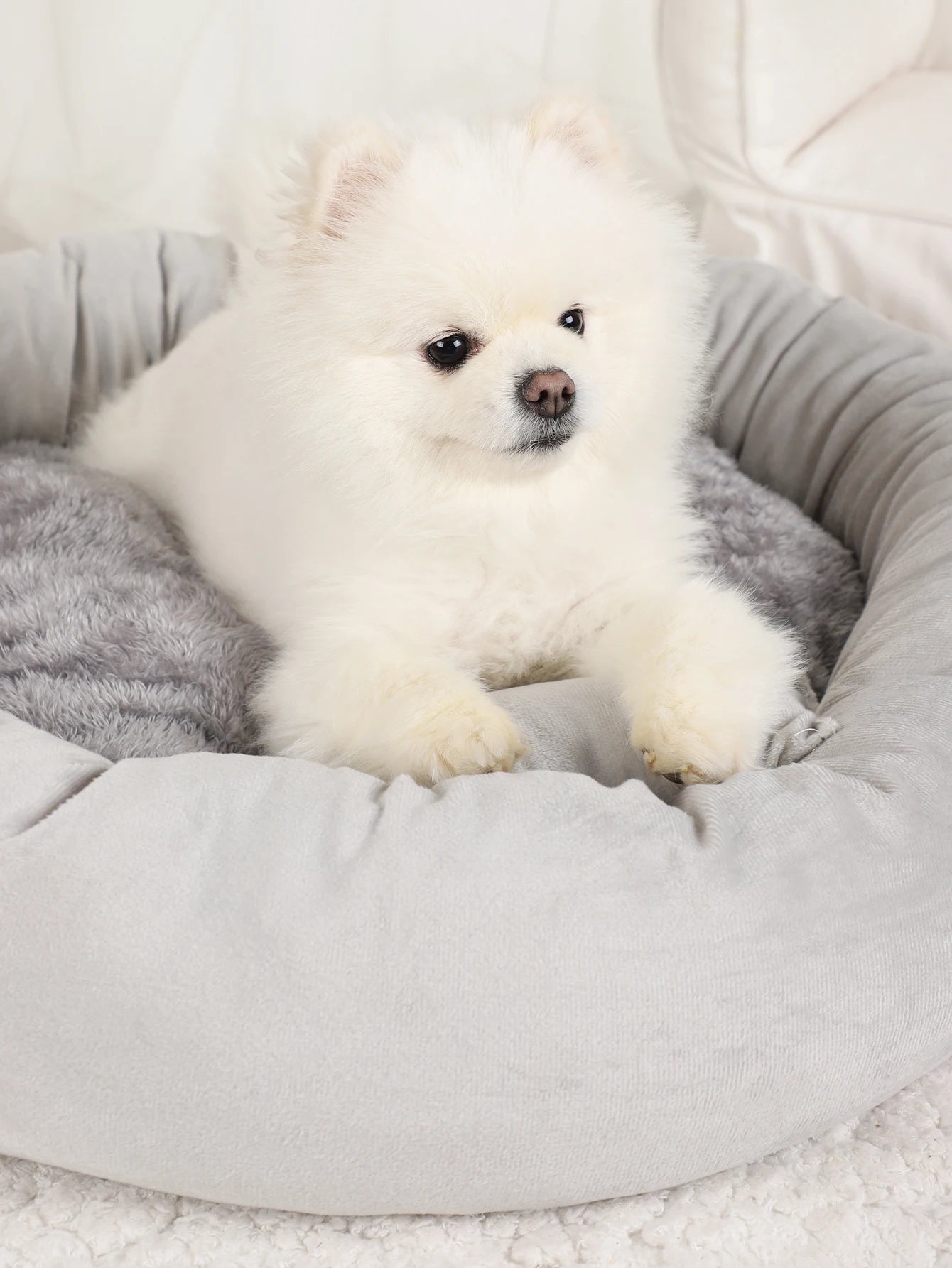 Pet Beds Small Dogs Puppy