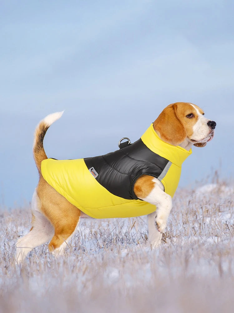 Waterproof Dog Jacket Winter