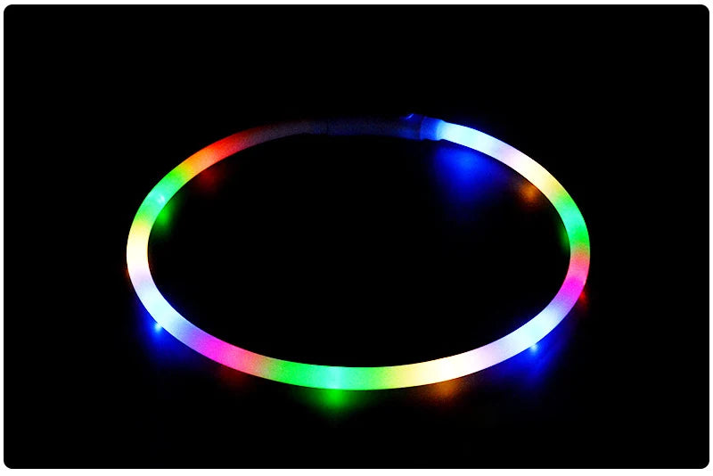 4 Modes Dog Luminou Charge Collar Led Usb