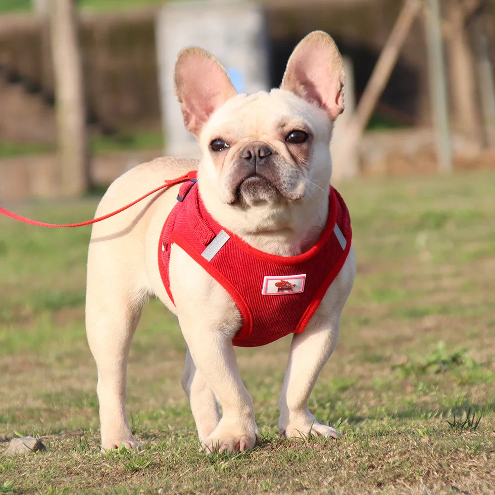 Dog Traction Rope Corduroy Breathable