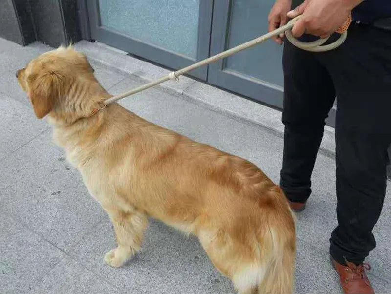 Training Leashes for Medium Large Dogs