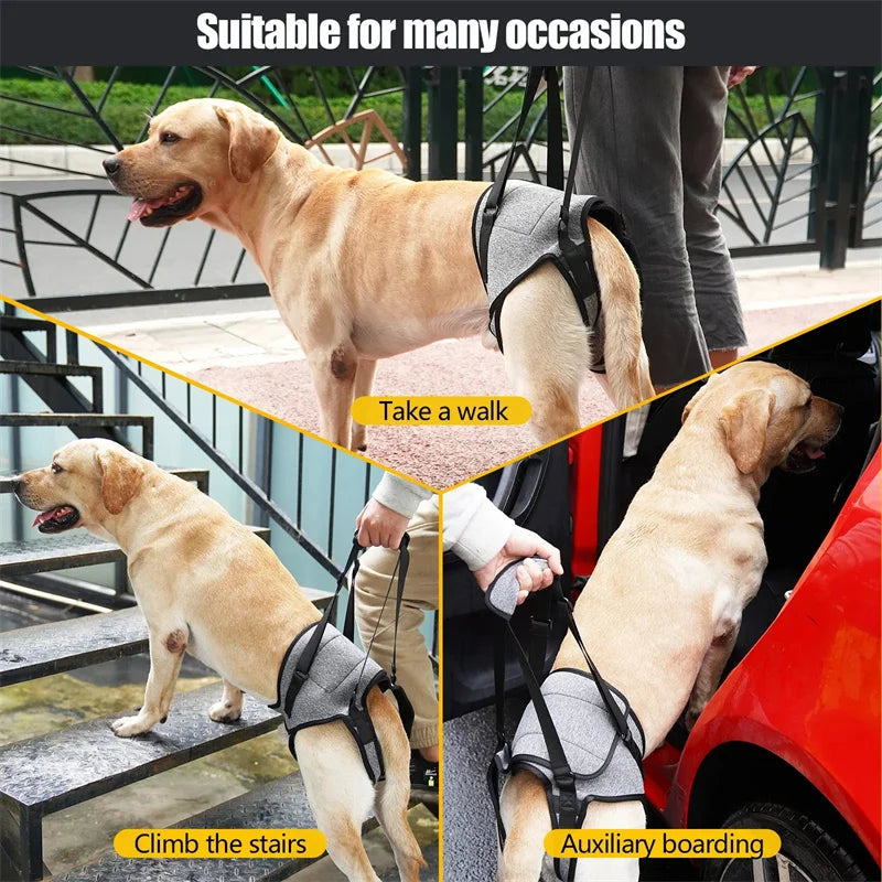 Adjustable Dog Lift Harness for Large Dogs