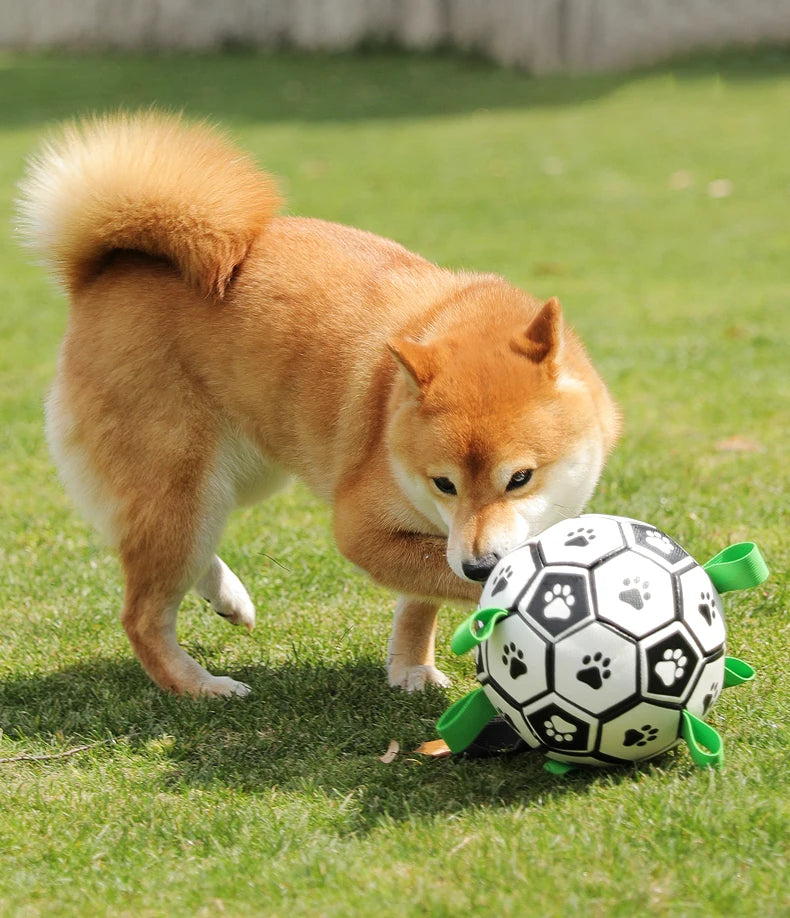 Kimpets Dog Interactive Football Toys