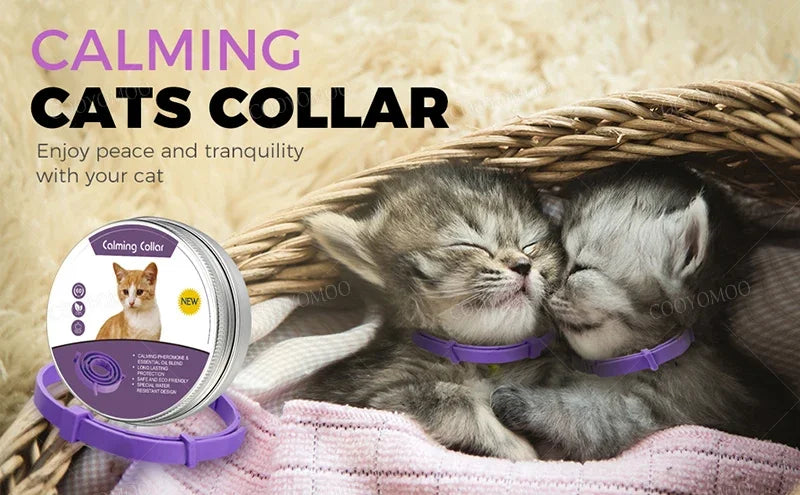 Dog Calming Pheromone Collar cat Relieve Anxiety