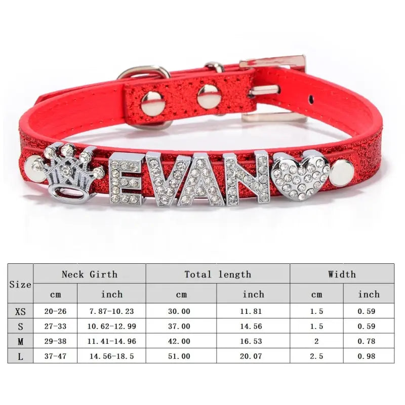 Custom Cat Dog Collar Personalized