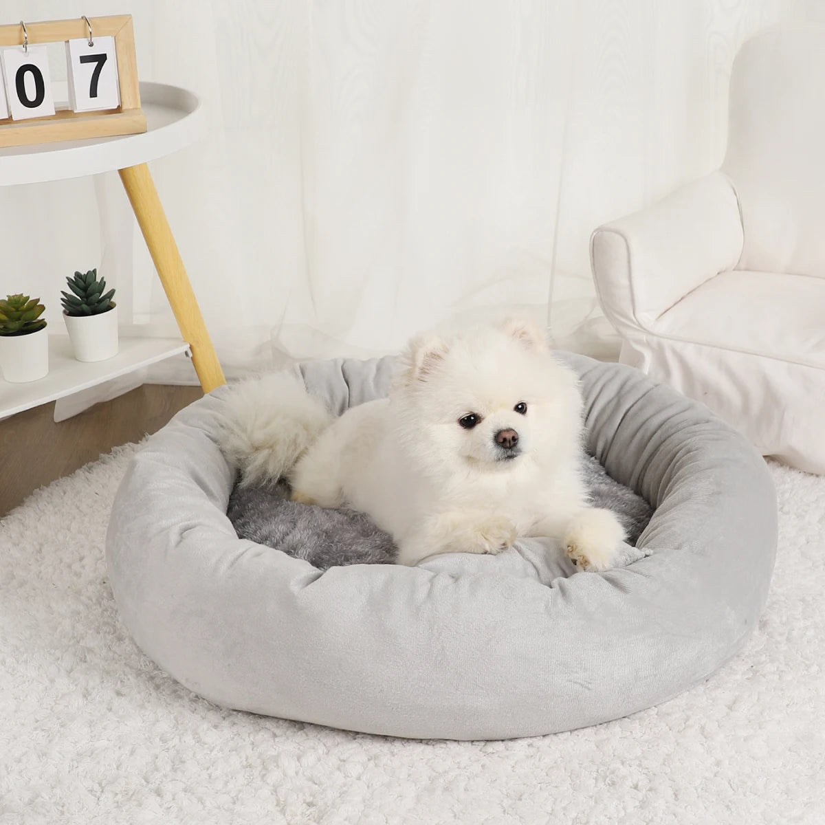 Pet Beds Small Dogs Puppy