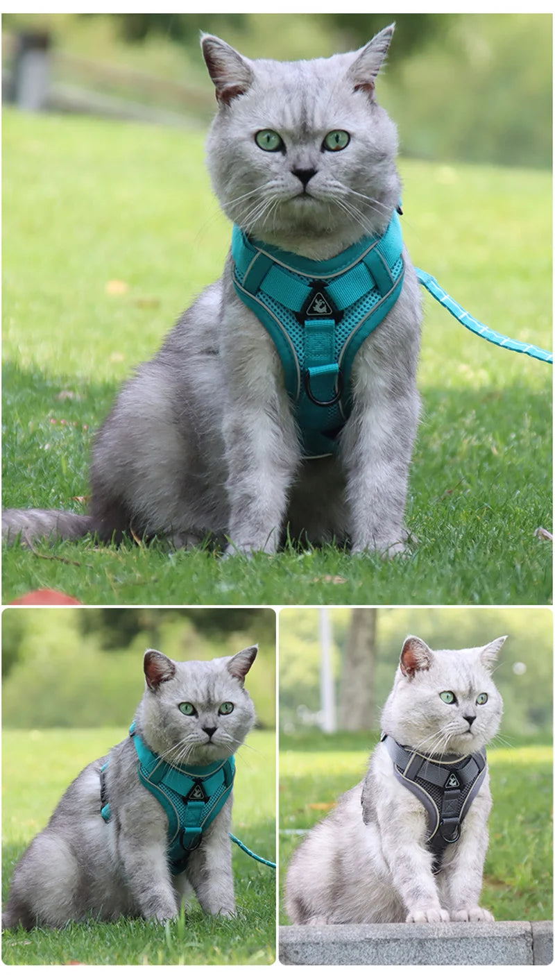 Fashion Reflective Cat Harness and Leash Sets Breathable