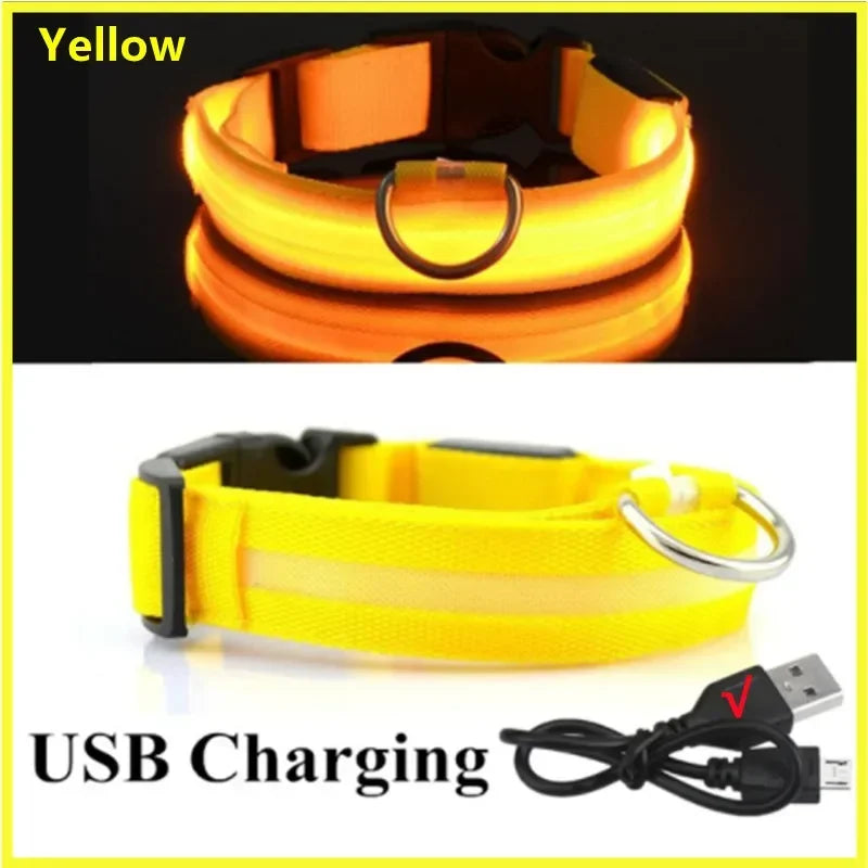 3 Modes Dog Luminous Charge Collar Led Usb