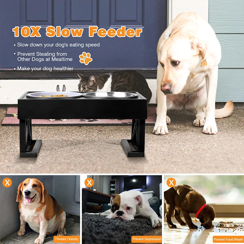 Dogs Double Bowls Stand 3 Adjustable Height