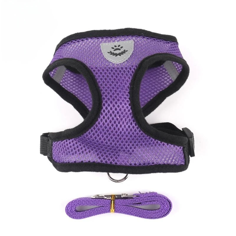 Cat Dog Harness with Lead