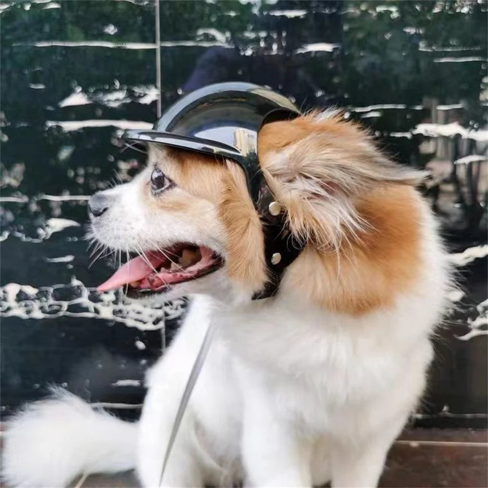 Cool Pet Dog Safety Helmet for Small Medium Dogs