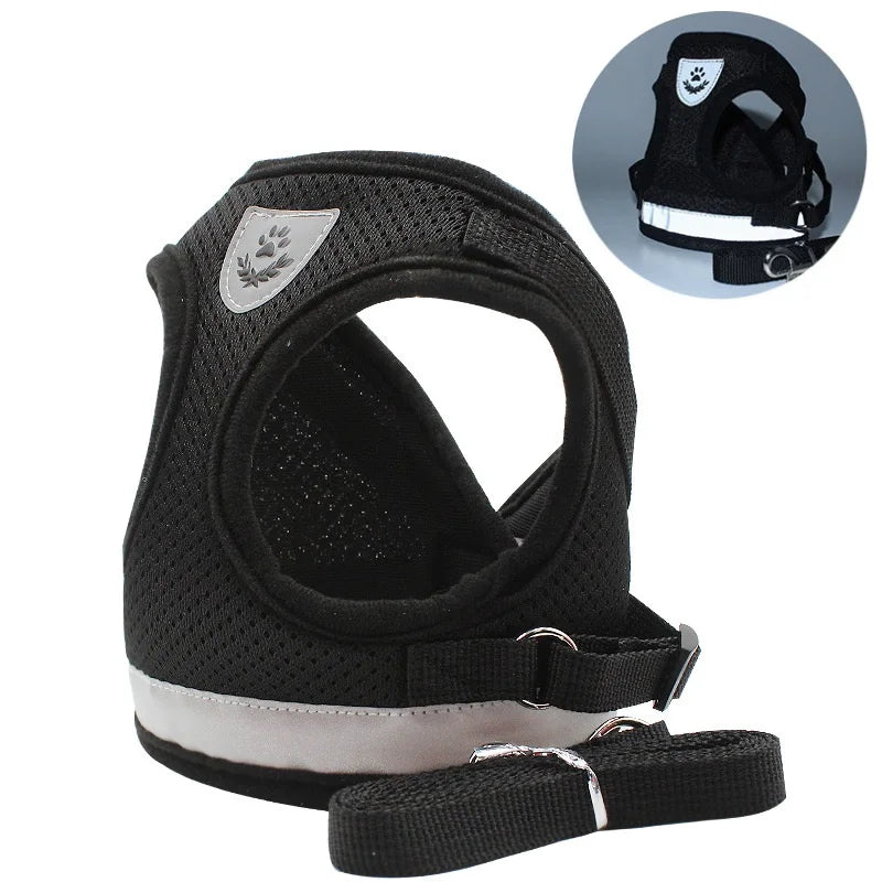 Quality Dog Harness And Leash