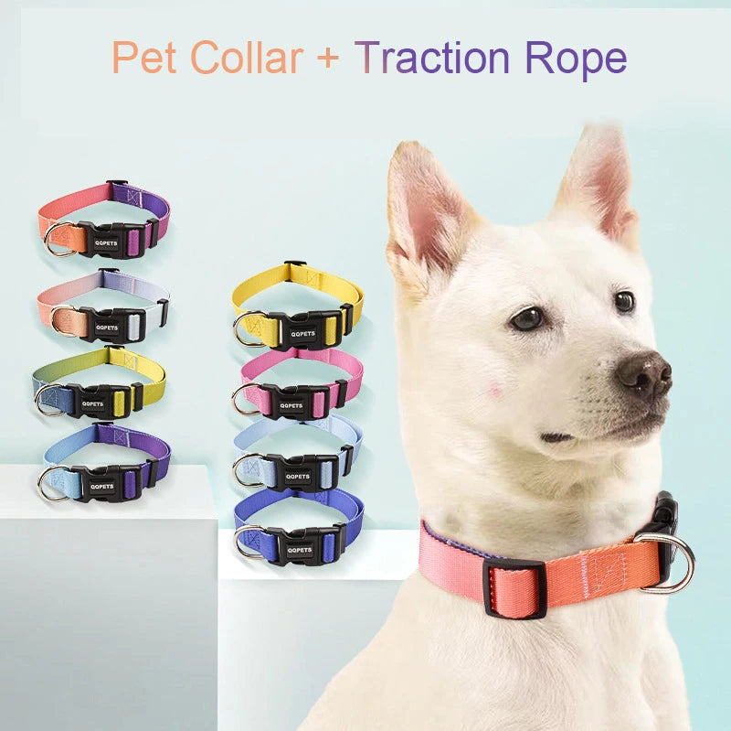 Nylon Adjustable Dog Collar