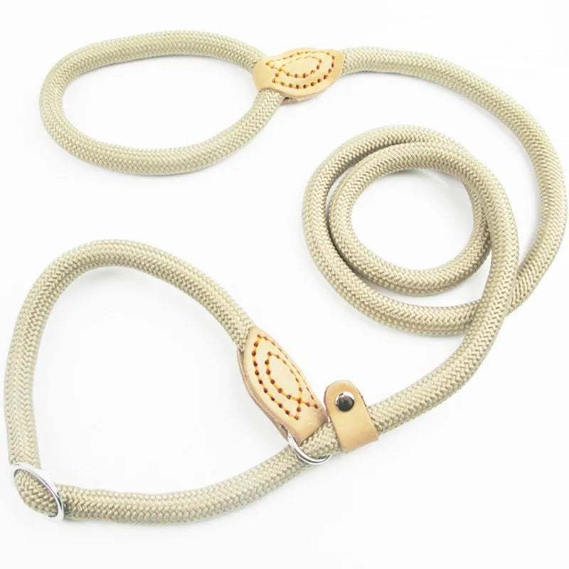 Dog Walking Leash Slip Rope